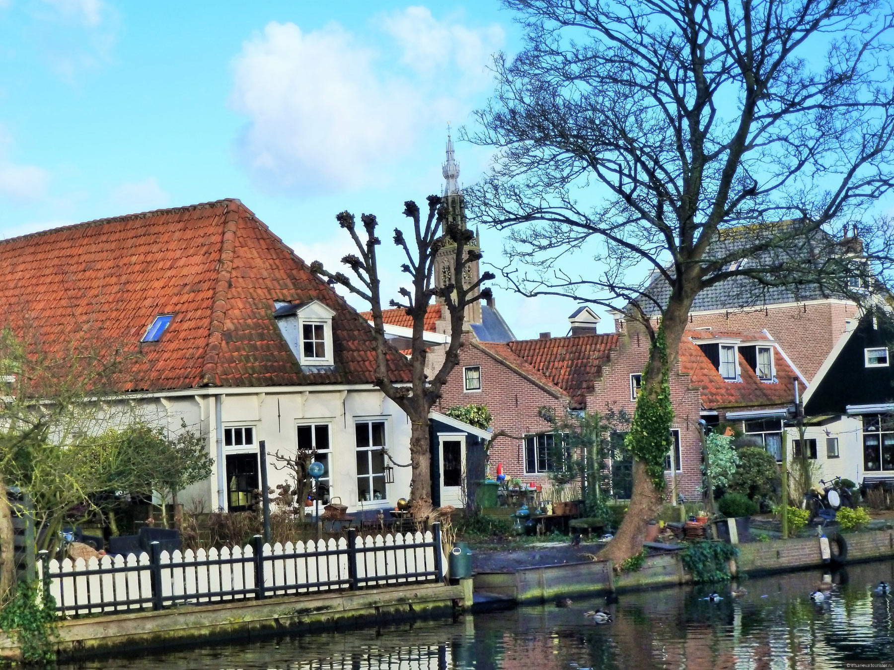 Edam